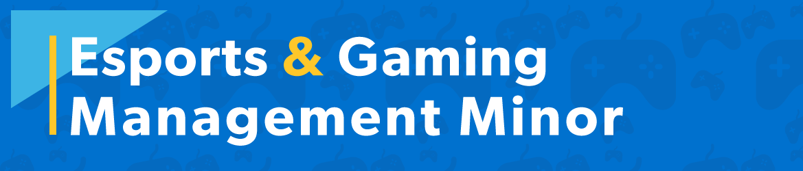 Esports & Gaming  Management Minor graphic