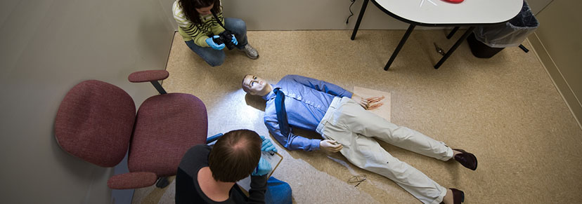 bachelor of science in forensic science crime scene investigation