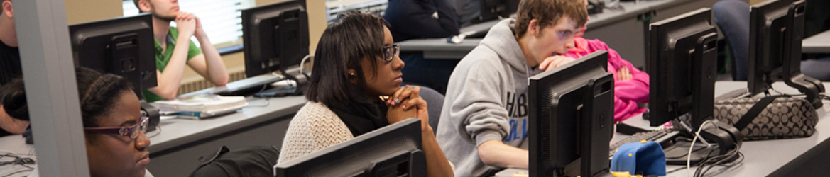 Students Learning in a Computer Lab