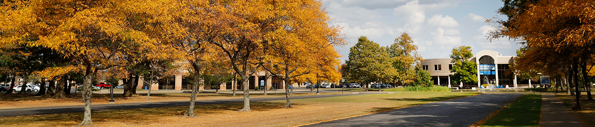 Hilbert College Campus from our main entrance during the fall. 