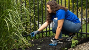 A Hilbert student picking up weeds during Day of Caring.