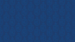 A Hilbert pattern graphic background.