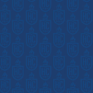 A Hilbert pattern graphic background.