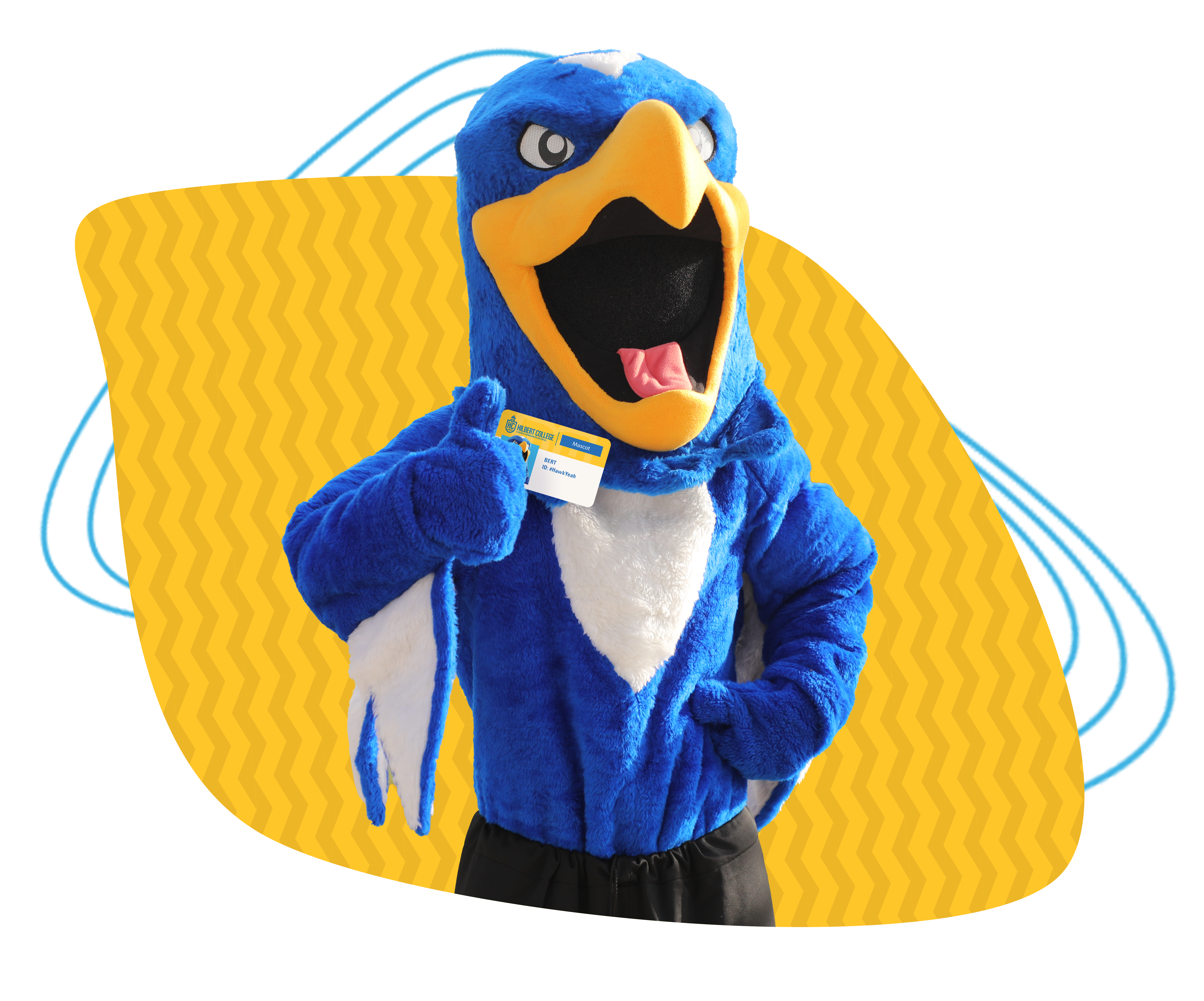 New Bert Card Graphic