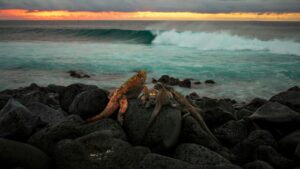A photo of the Galápagos Islands.