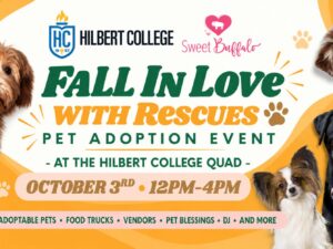 Poster for pet adoption event with animals on it.